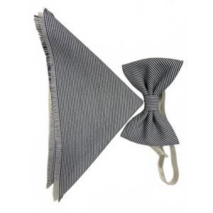 NEW QUIET LUXURY men's bow tie and pocket piece in blue and white stripe